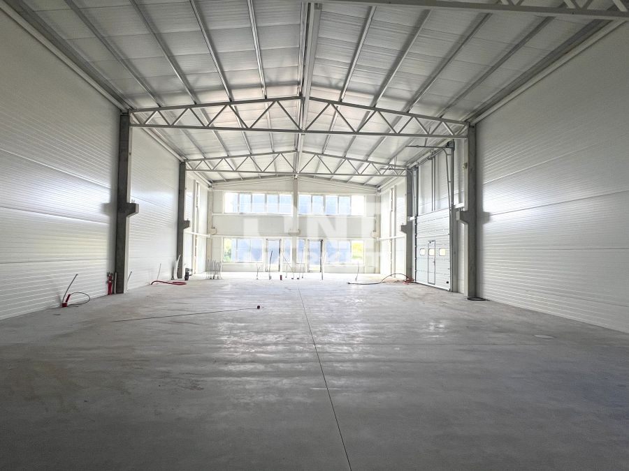 Leliai - 3