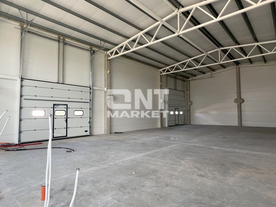 Leliai - 4